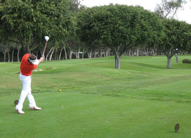 Two golfers qualify for state championships!
