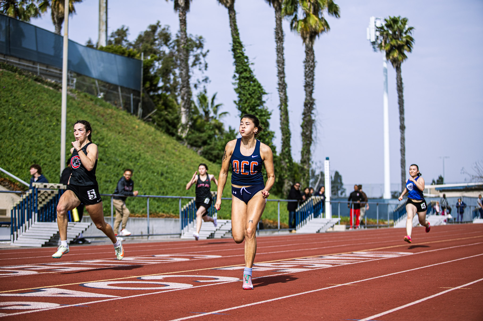 Photo courtesy of Luke Lastra